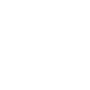 Expertise in International Transactions 